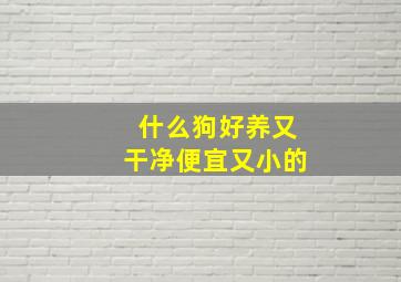 什么狗好养又干净便宜又小的