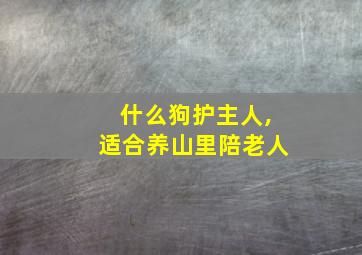 什么狗护主人,适合养山里陪老人