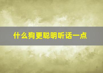 什么狗更聪明听话一点