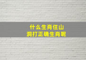 什么生肖住山洞打正确生肖呢