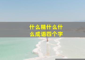 什么精什么什么成语四个字