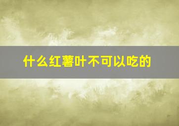 什么红薯叶不可以吃的