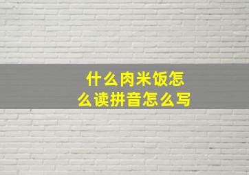 什么肉米饭怎么读拼音怎么写