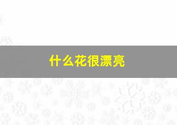 什么花很漂亮