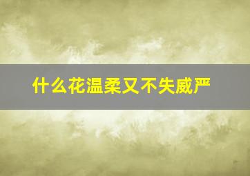 什么花温柔又不失威严