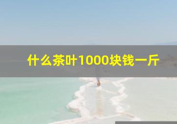 什么茶叶1000块钱一斤