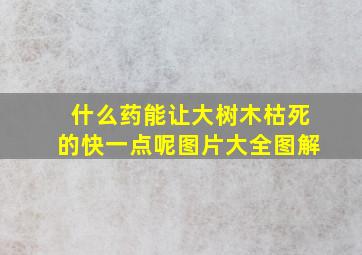 什么药能让大树木枯死的快一点呢图片大全图解