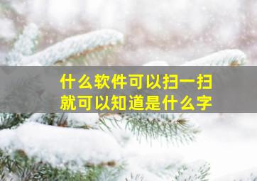 什么软件可以扫一扫就可以知道是什么字