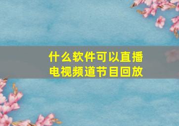 什么软件可以直播电视频道节目回放