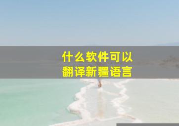 什么软件可以翻译新疆语言