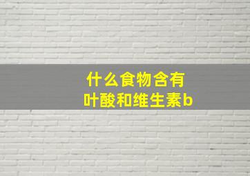 什么食物含有叶酸和维生素b