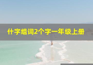 什字组词2个字一年级上册