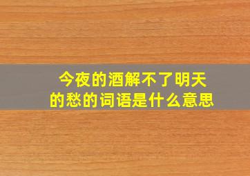 今夜的酒解不了明天的愁的词语是什么意思