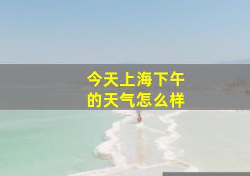 今天上海下午的天气怎么样