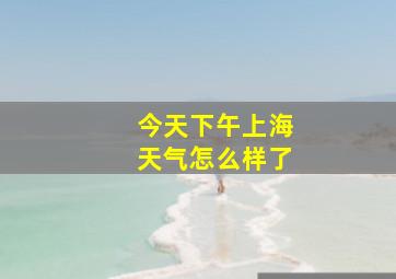 今天下午上海天气怎么样了