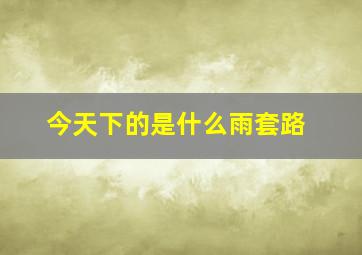 今天下的是什么雨套路