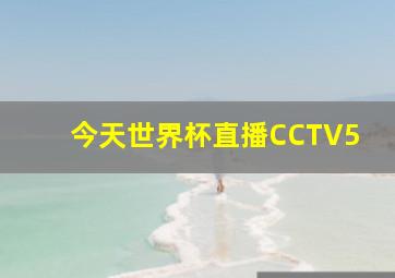 今天世界杯直播CCTV5