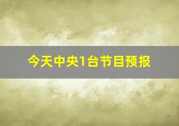 今天中央1台节目预报