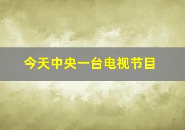 今天中央一台电视节目