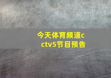 今天体育频道cctv5节目预告