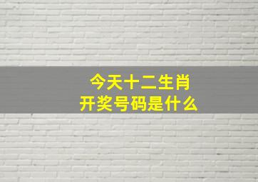 今天十二生肖开奖号码是什么