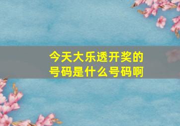 今天大乐透开奖的号码是什么号码啊