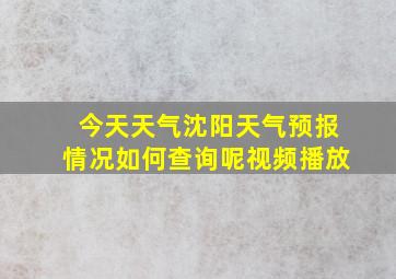 今天天气沈阳天气预报情况如何查询呢视频播放