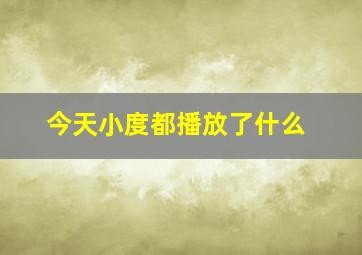 今天小度都播放了什么