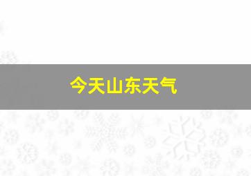 今天山东天气