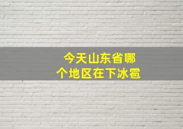 今天山东省哪个地区在下冰雹