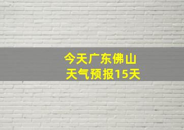 今天广东佛山天气预报15天