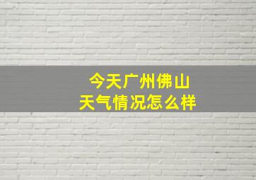 今天广州佛山天气情况怎么样