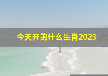 今天开的什么生肖2023