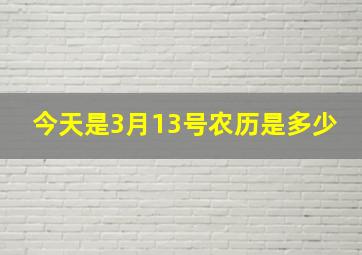 今天是3月13号农历是多少