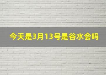 今天是3月13号是谷水会吗