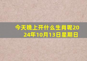 今天晚上开什么生肖呢2024年10月13日星期日