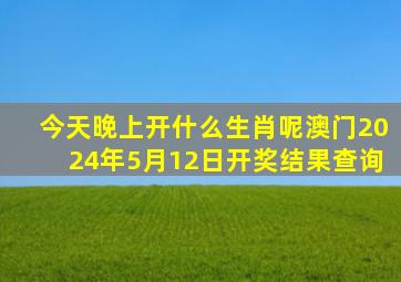 今天晚上开什么生肖呢澳门2024年5月12日开奖结果查询