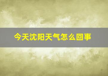 今天沈阳天气怎么回事