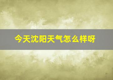 今天沈阳天气怎么样呀