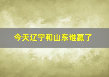 今天辽宁和山东谁赢了