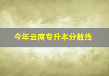 今年云南专升本分数线