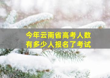 今年云南省高考人数有多少人报名了考试