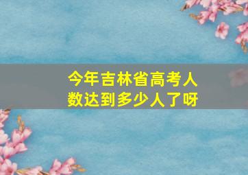 今年吉林省高考人数达到多少人了呀