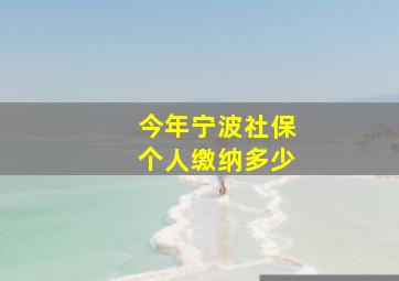 今年宁波社保个人缴纳多少