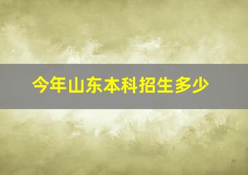 今年山东本科招生多少