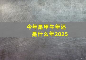 今年是甲午年还是什么年2025