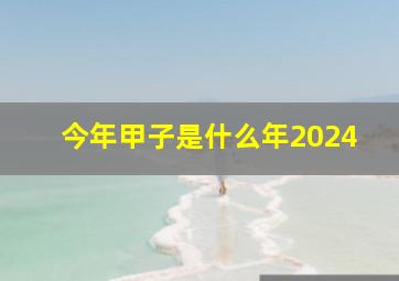 今年甲子是什么年2024