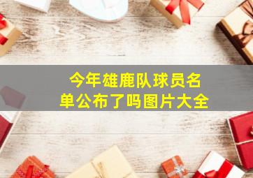 今年雄鹿队球员名单公布了吗图片大全