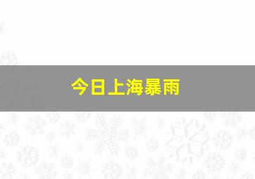 今日上海暴雨