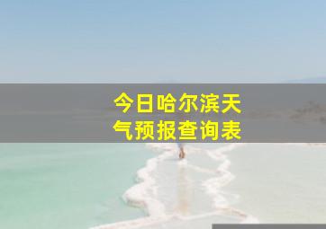 今日哈尔滨天气预报查询表